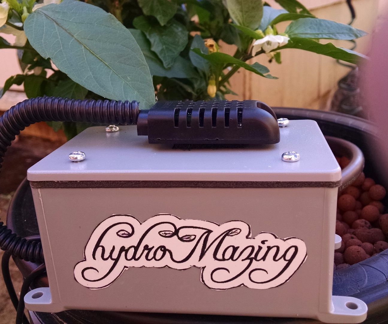 Simple Start to Indoor Gardening With HydroMazing