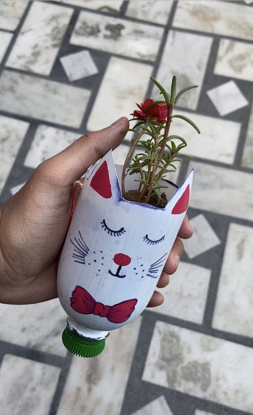 Planting the Plants