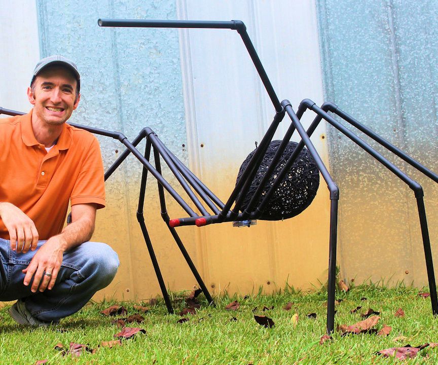 The Huge Black Spider