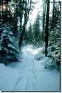 Snowshoeing - Fun and Inexpensive for All Ages
