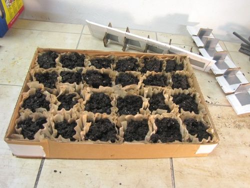 Nursery/Hothouse Seedling Starter Tray