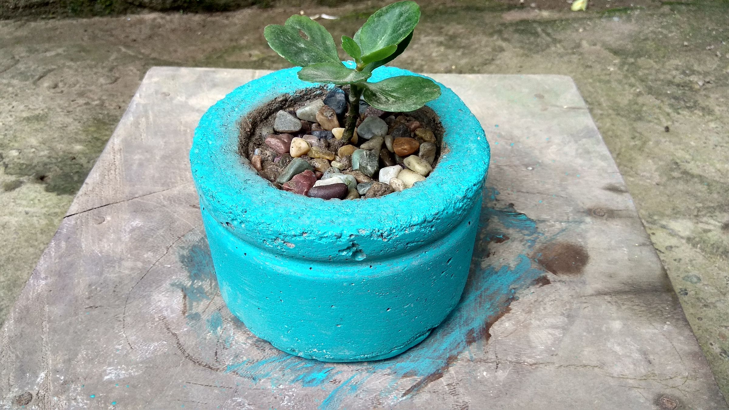 Concrete Tree Planter 5 Steps (with Pictures) Instructables