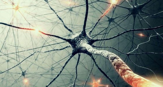 Memorization Techniques 
