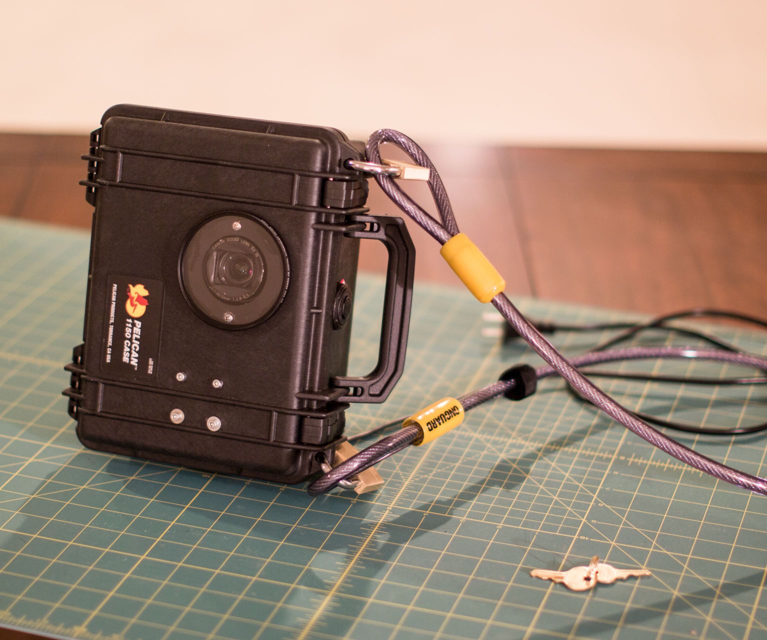 Long Term Time Lapse Enclosure