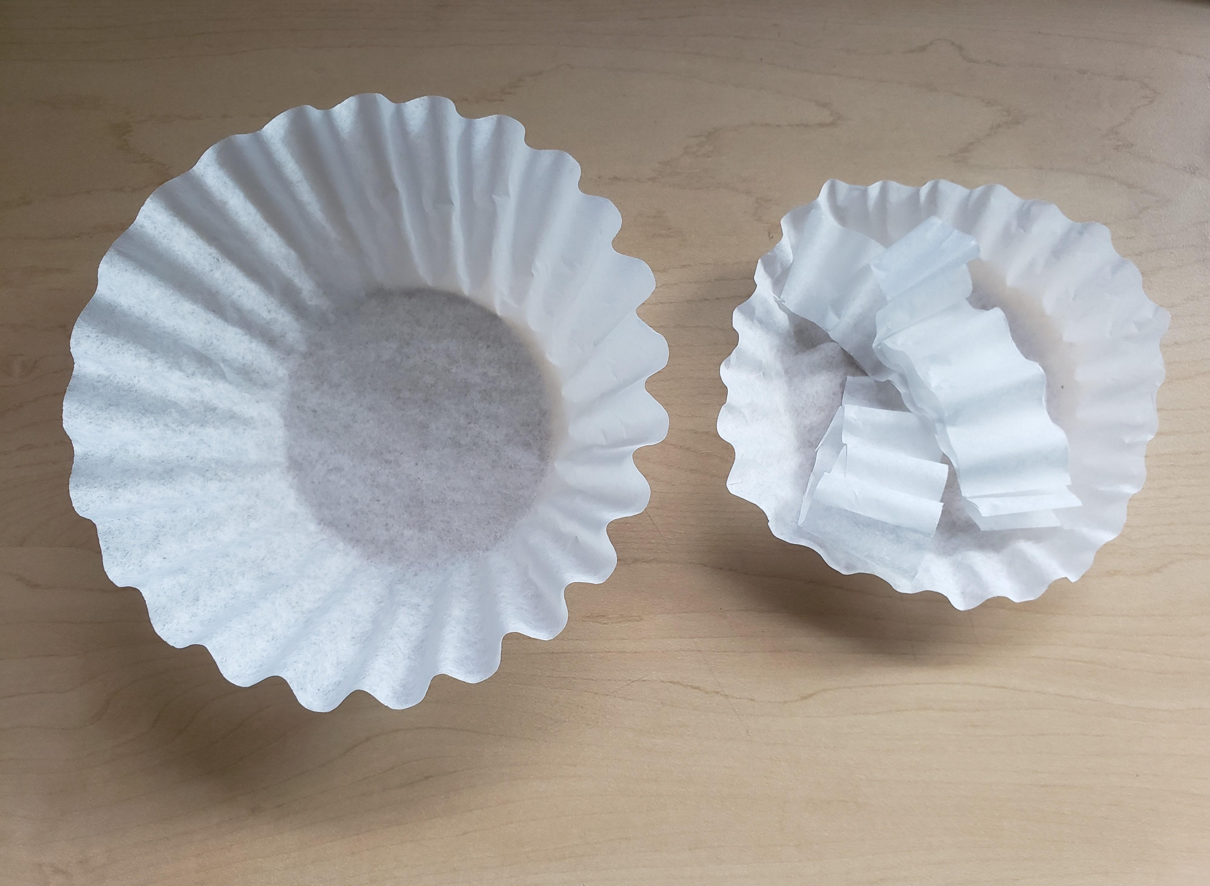 Exploring Gravity and Air Resistance With Coffee Filters 4 Steps