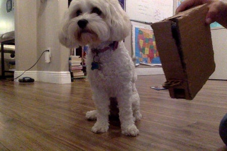 Cardboard dog food dispenser Clearance