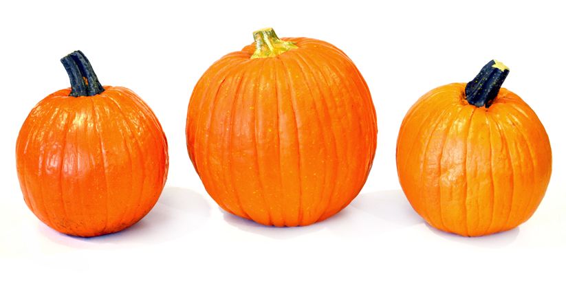 Singing Pumpkins Illusion DIY Guide : 7 Steps (with Pictures) -  Instructables
