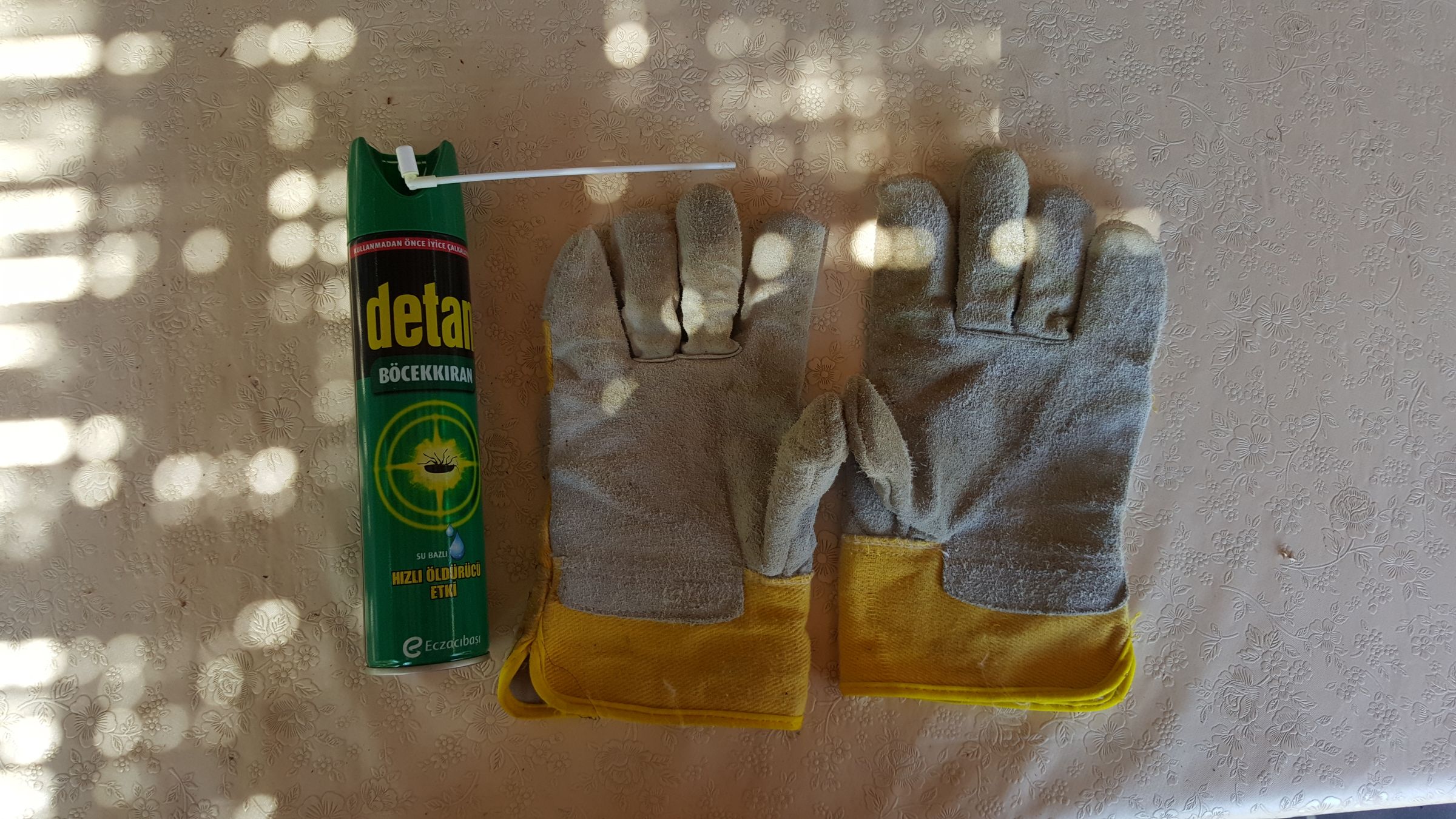 How to Cut Palm Tree's Leaves 10 Steps (with Pictures) Instructables