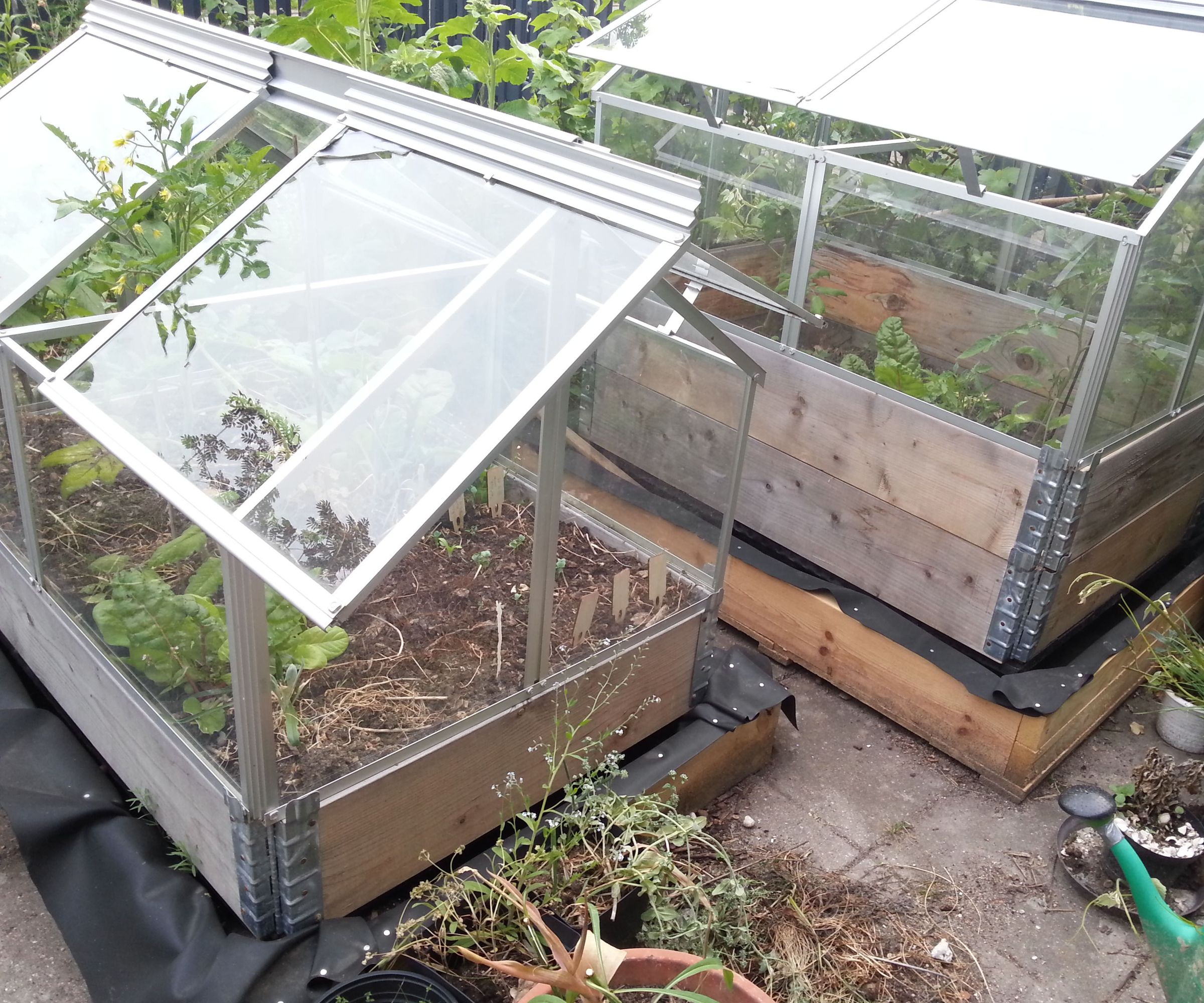 Self-watering Mini-greenhouse With Europallets