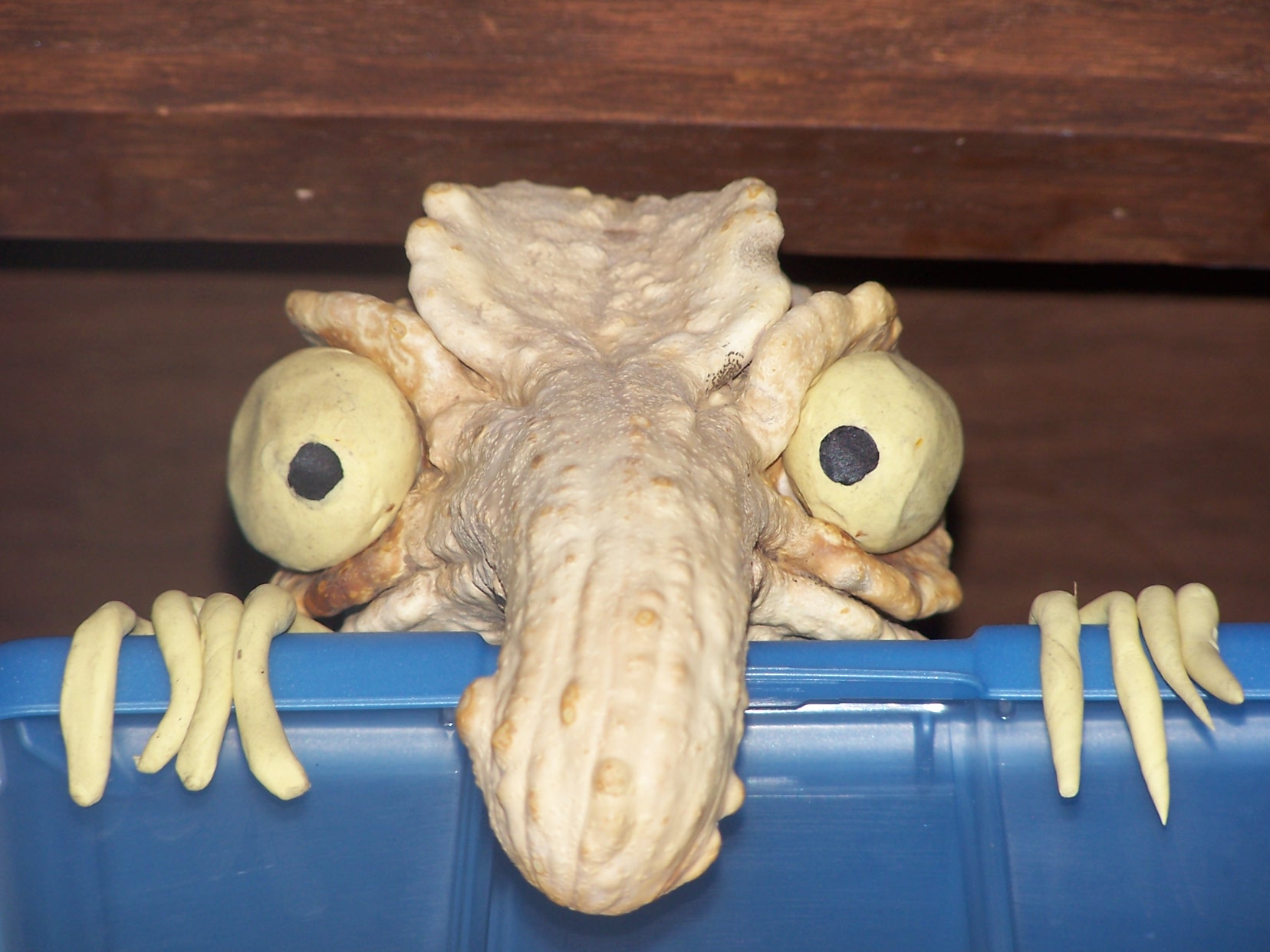 Make a House Goblin Peeker