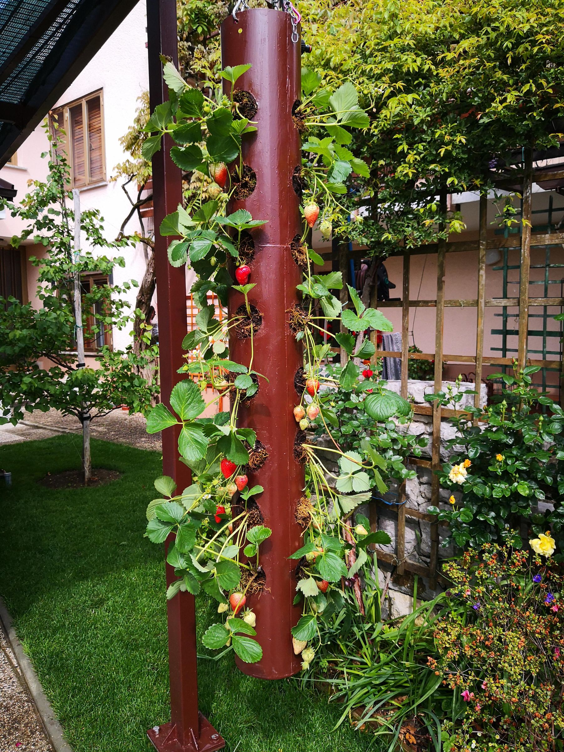 Solar Powered Rotating Strawberry Tower : 13 Steps (with Pictures ...