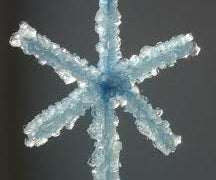 Crystallized Snowflakes (5 Inches Long)