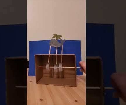 Whale Automata