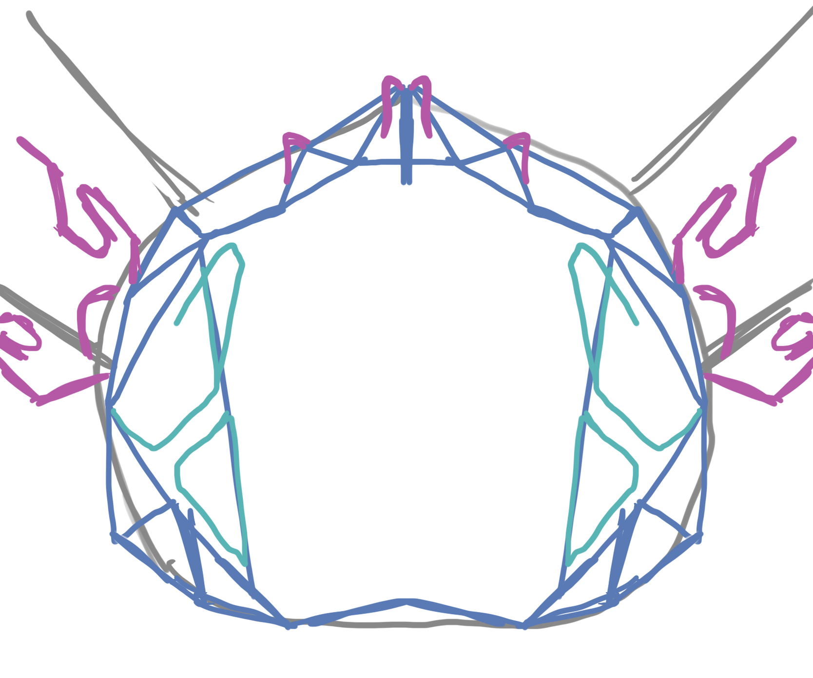 Parametric Face Mask Guard