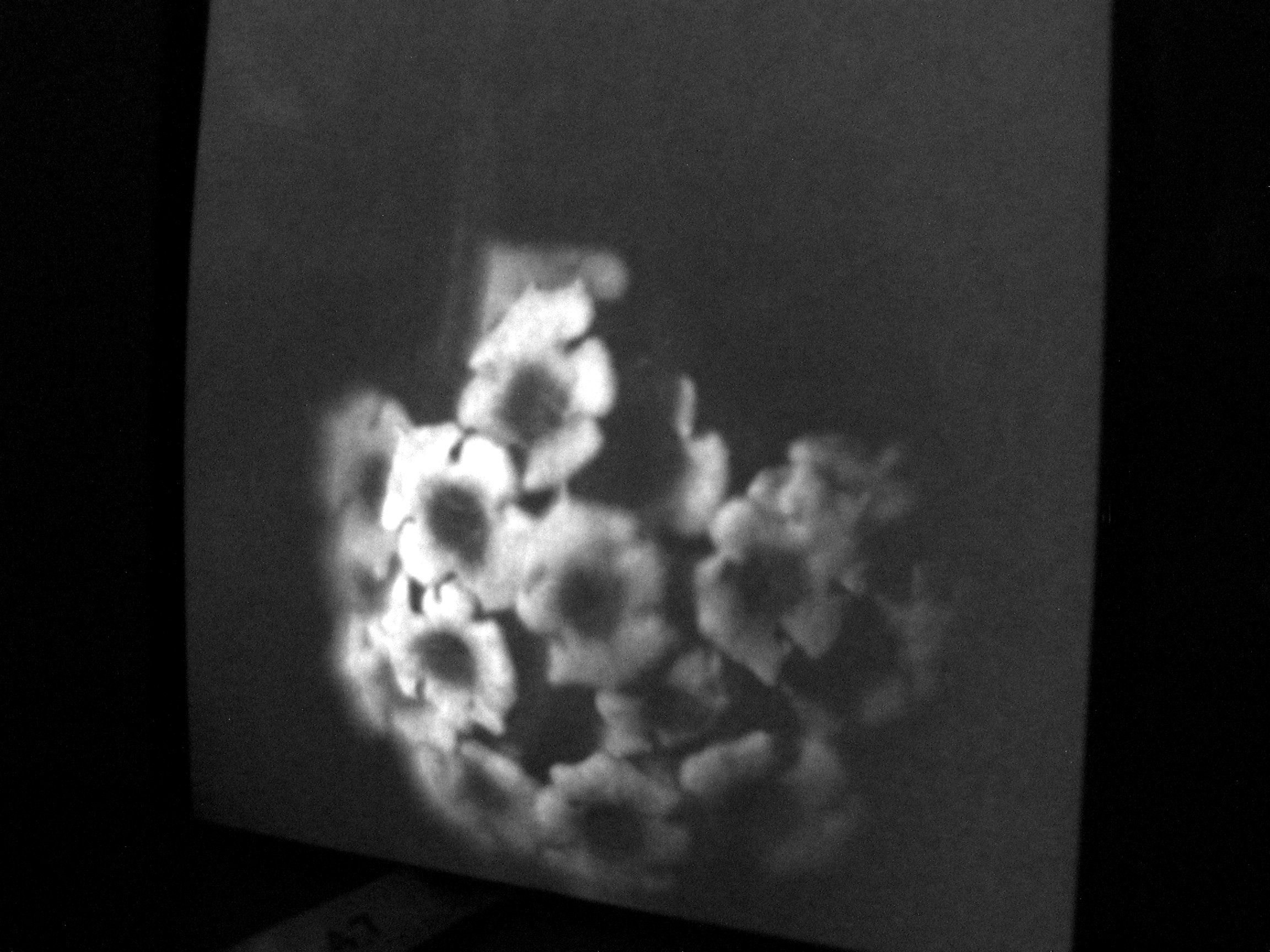 A Secondary Approach to UltraViolet Photography