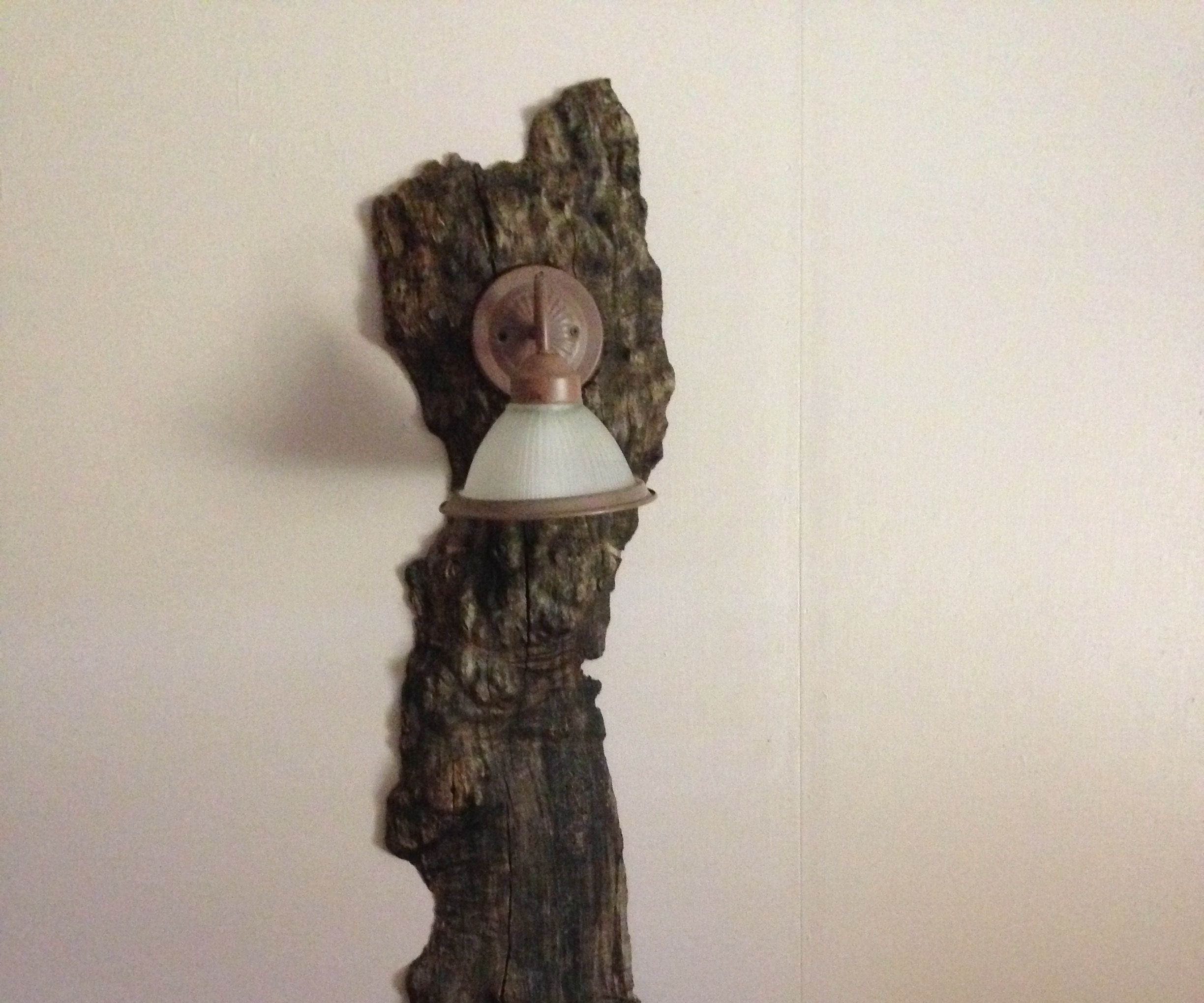 Burl Slab Night Stand