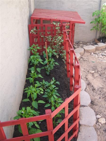 How to Update Your Garden Annually for Flowers, Veggies, or Vines 