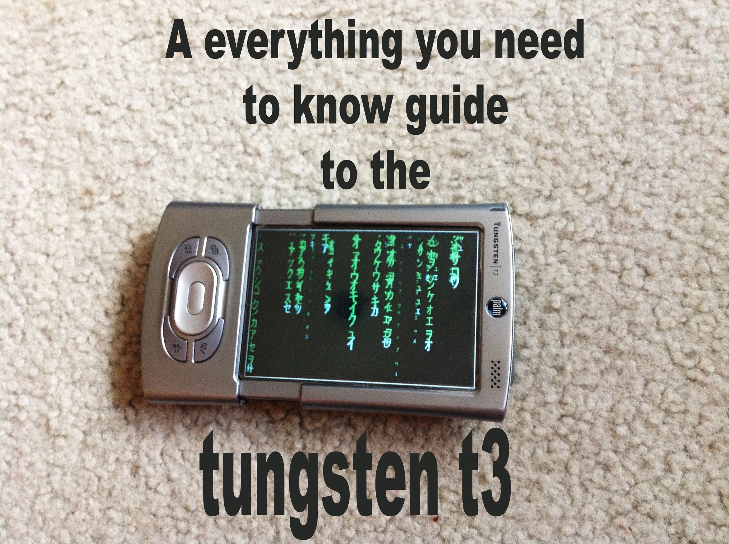 Palmページ Palm Tree Palm tree 13 AM201 Archmodels | Evermotion