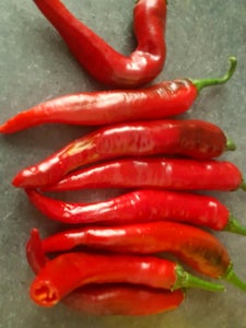 July Update: First Harvest