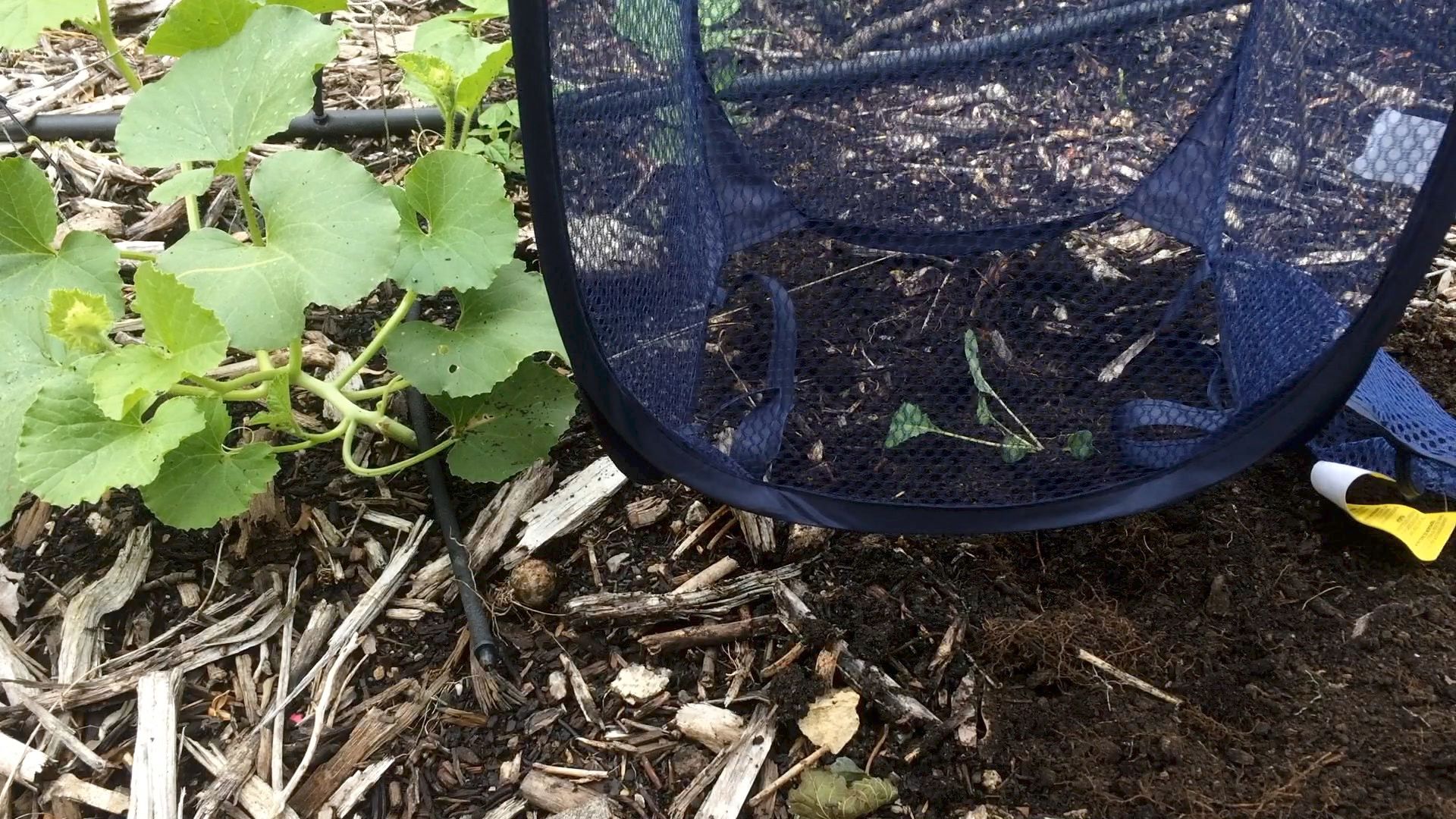 3 Ways to Use a Pop Up Hamper in the Garden 3 Steps (with Pictures