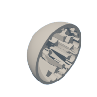 download {{ file.name }}