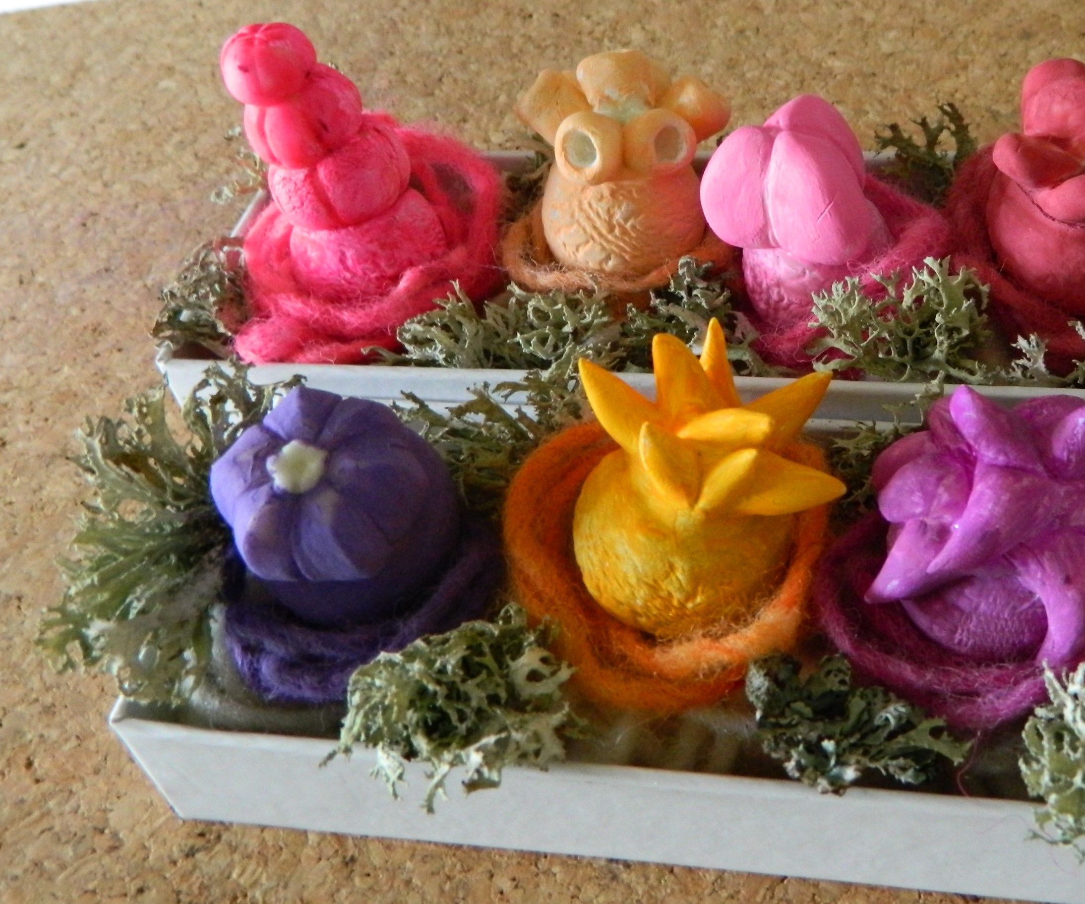 Succulent Garden  in Cold Porcelain 