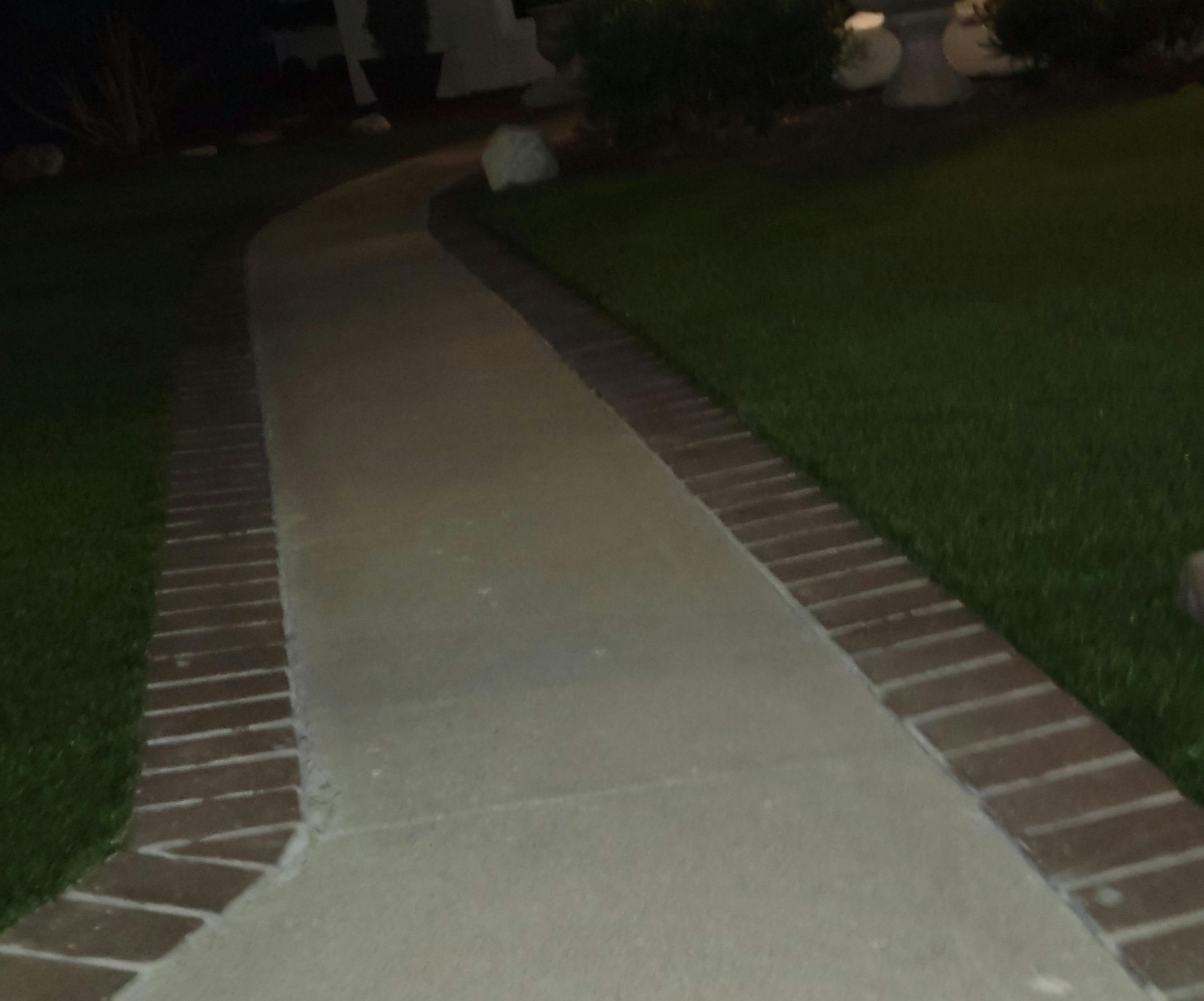 You Can't Hide Your Lion Eyes