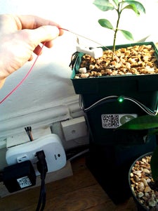 how to ground your garden