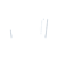 download {{ file.name }}