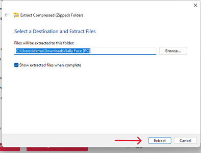 Extracting the Game Files