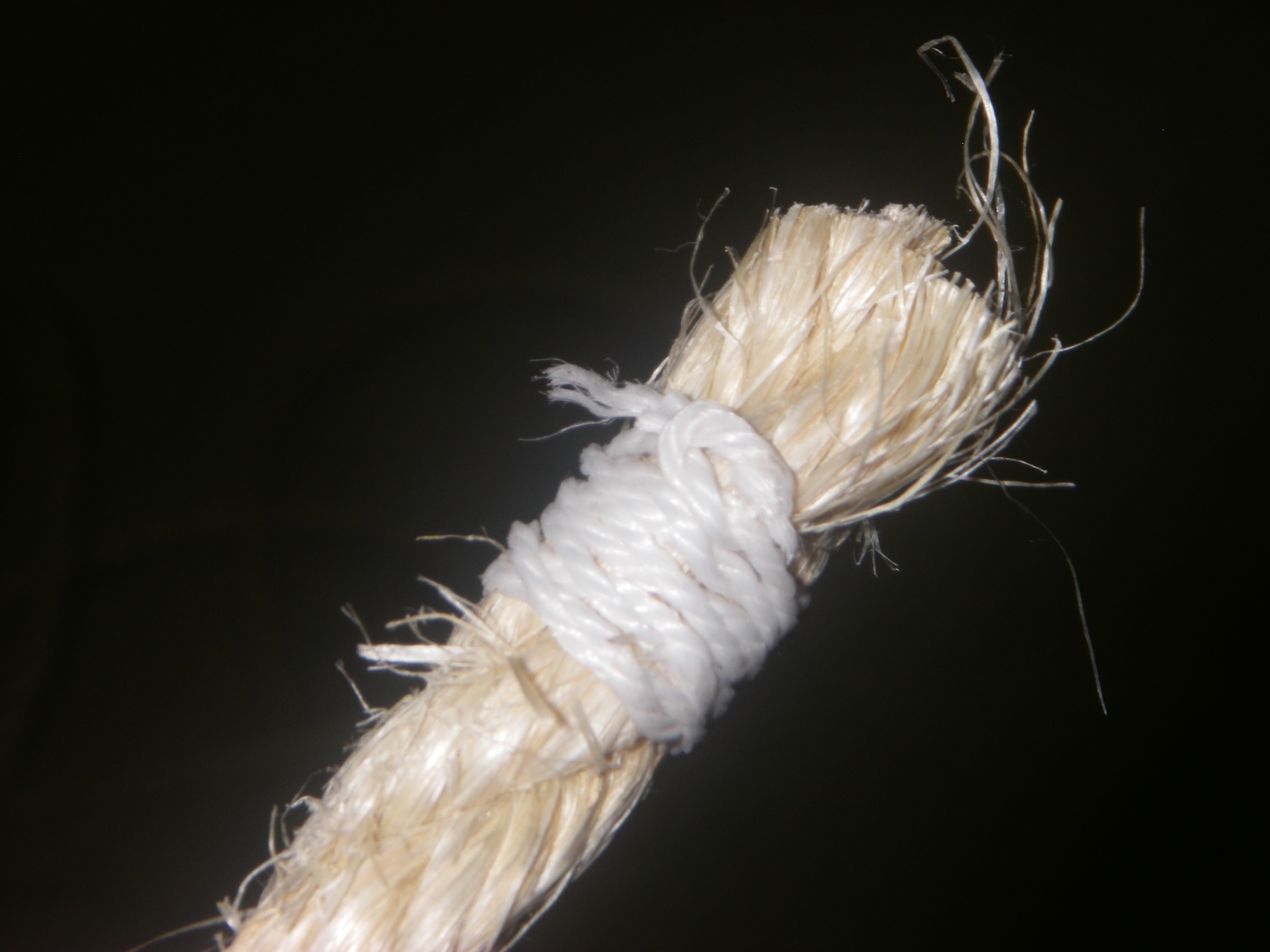 Whippin'! (West Country Style)