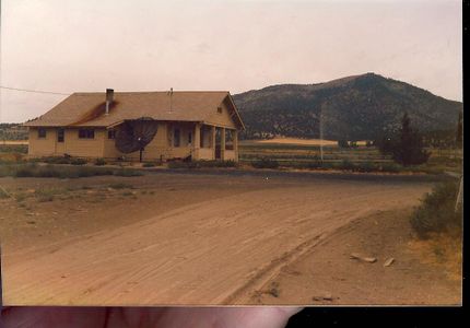 Taking Inspiration From Real Life