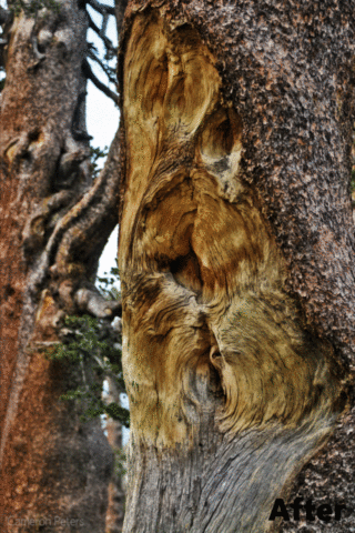 HDR looking effect with only 1 photo!