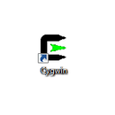 Using Cygwin for SALAMANDER Testing