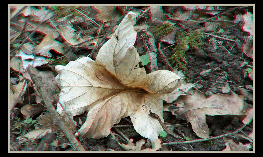 How to Make a Cheap 3d Glasses