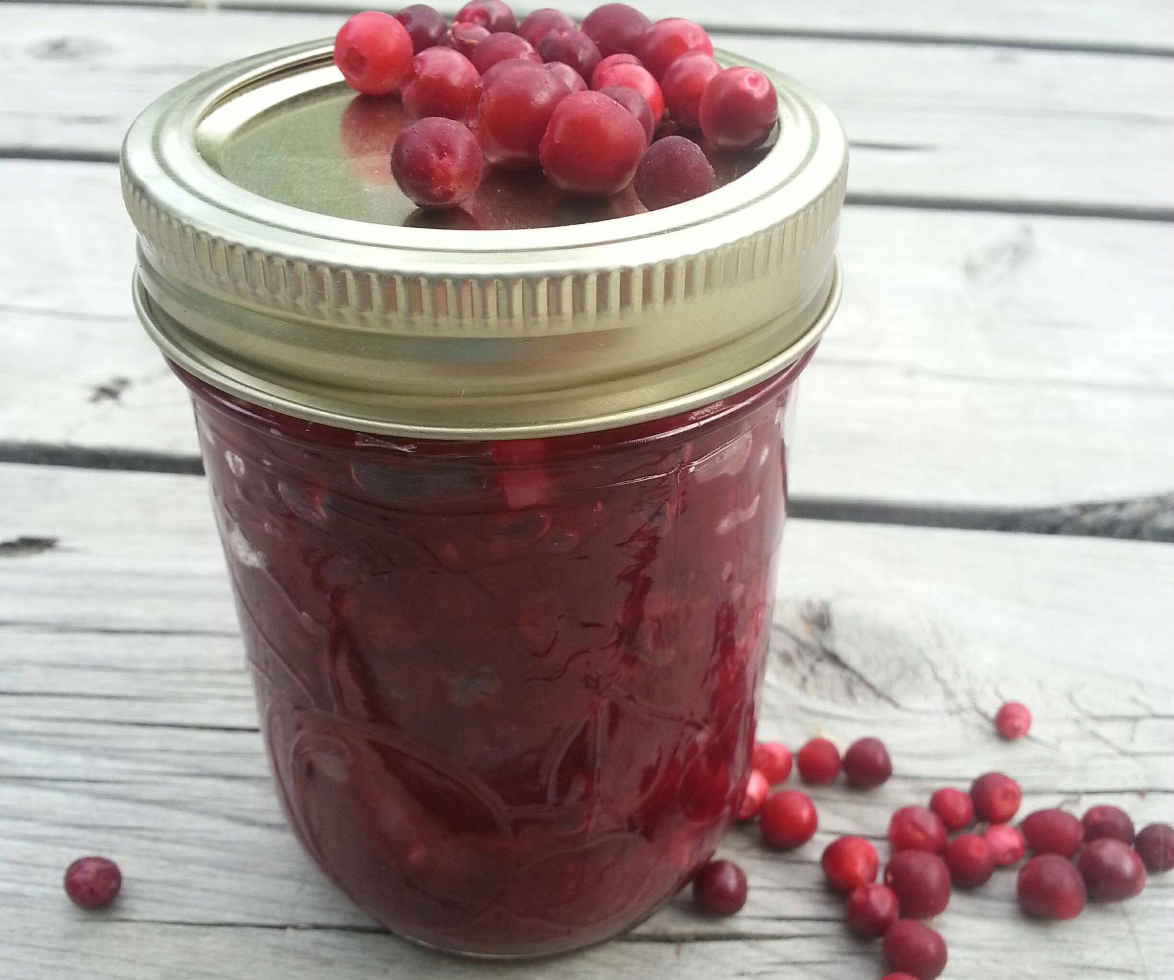 Spicy Wild Cranberry Chutney