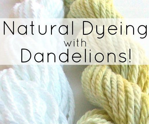 Natural Dyeing With Dandelions!