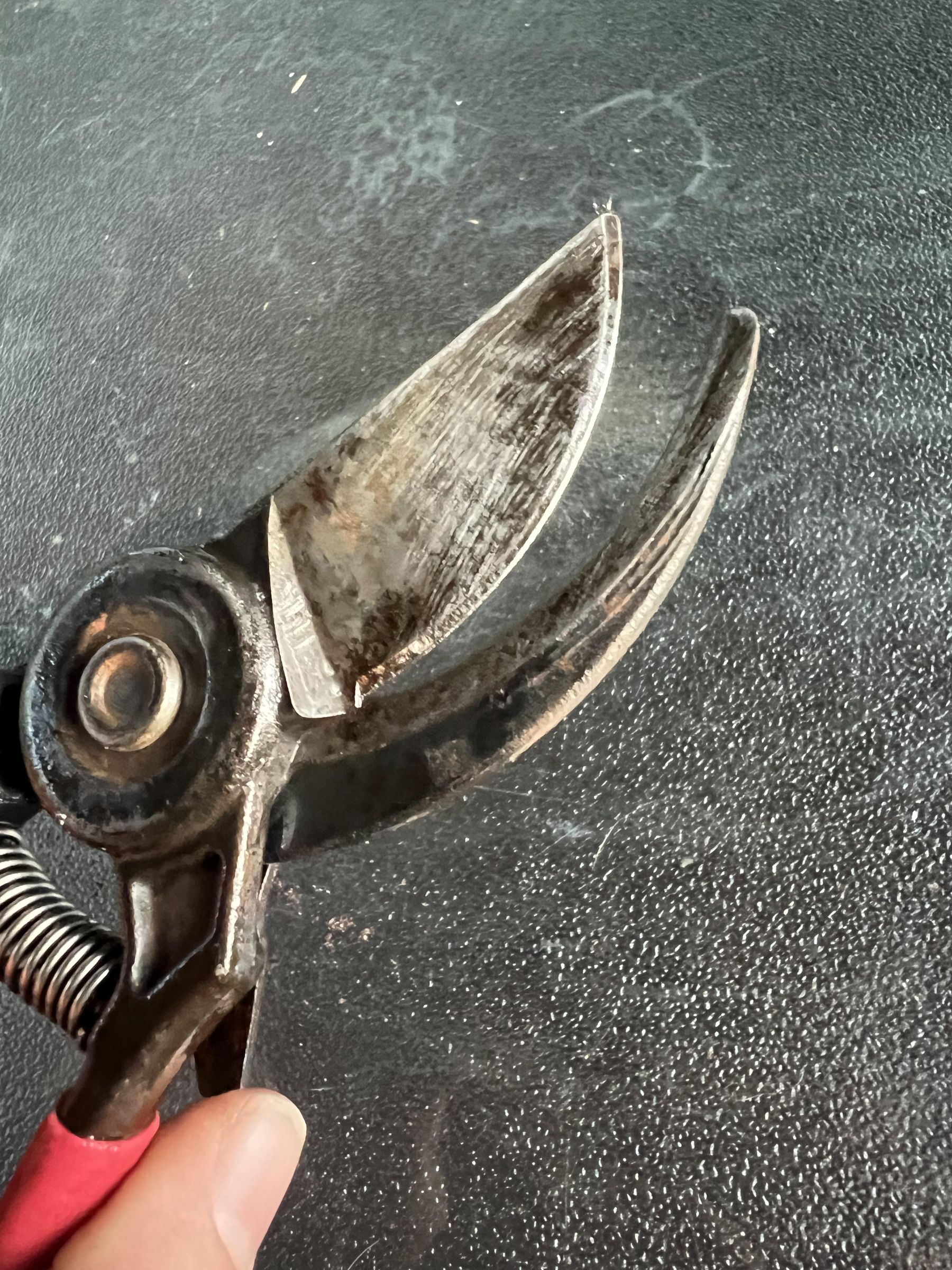 Sharpening Clippers 4 Steps Instructables
