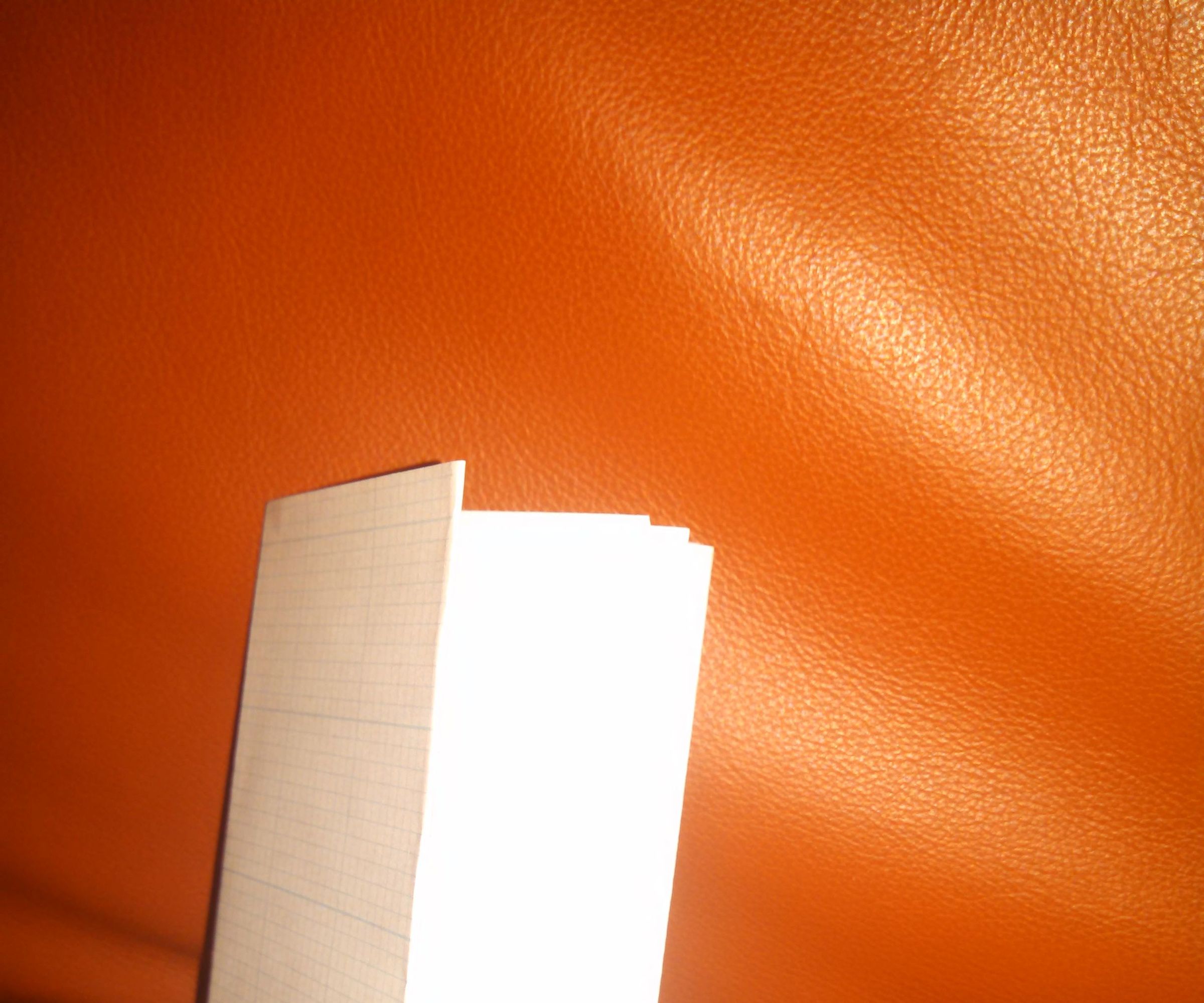 No Sew Pocket Notebook