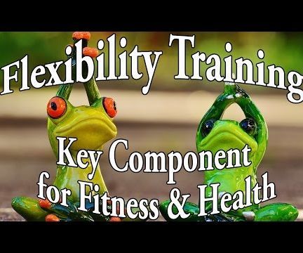 Flexibility Training: Key for Fitness Performance and Long Term Health