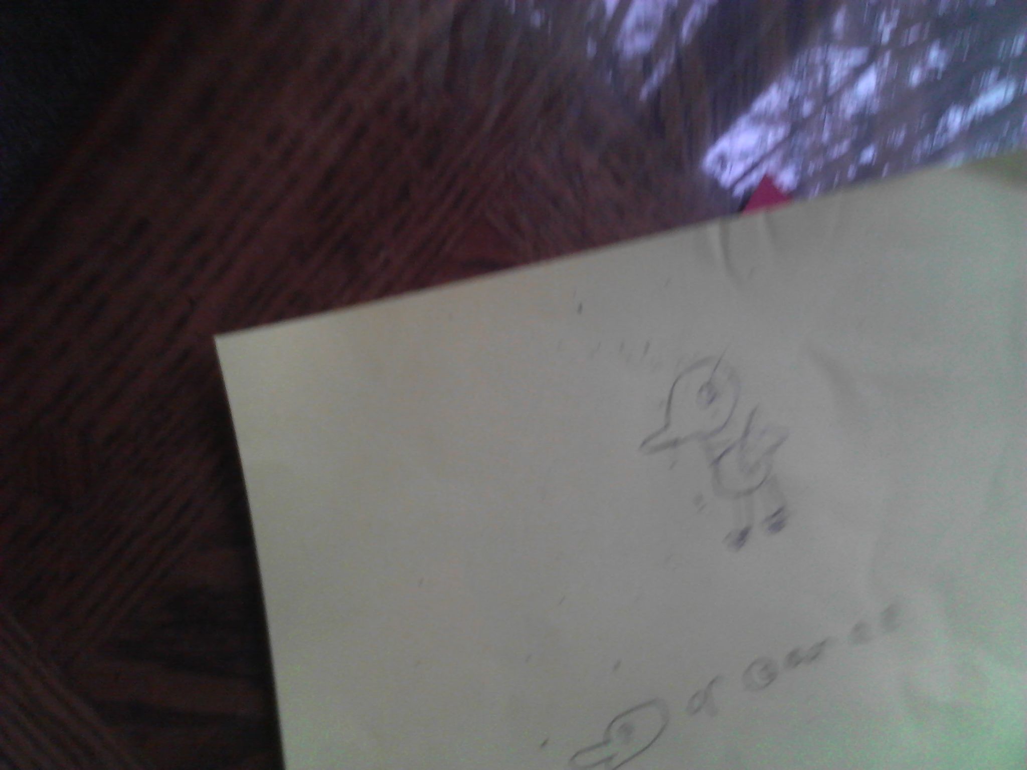 falmigo How to draw  a falmigo