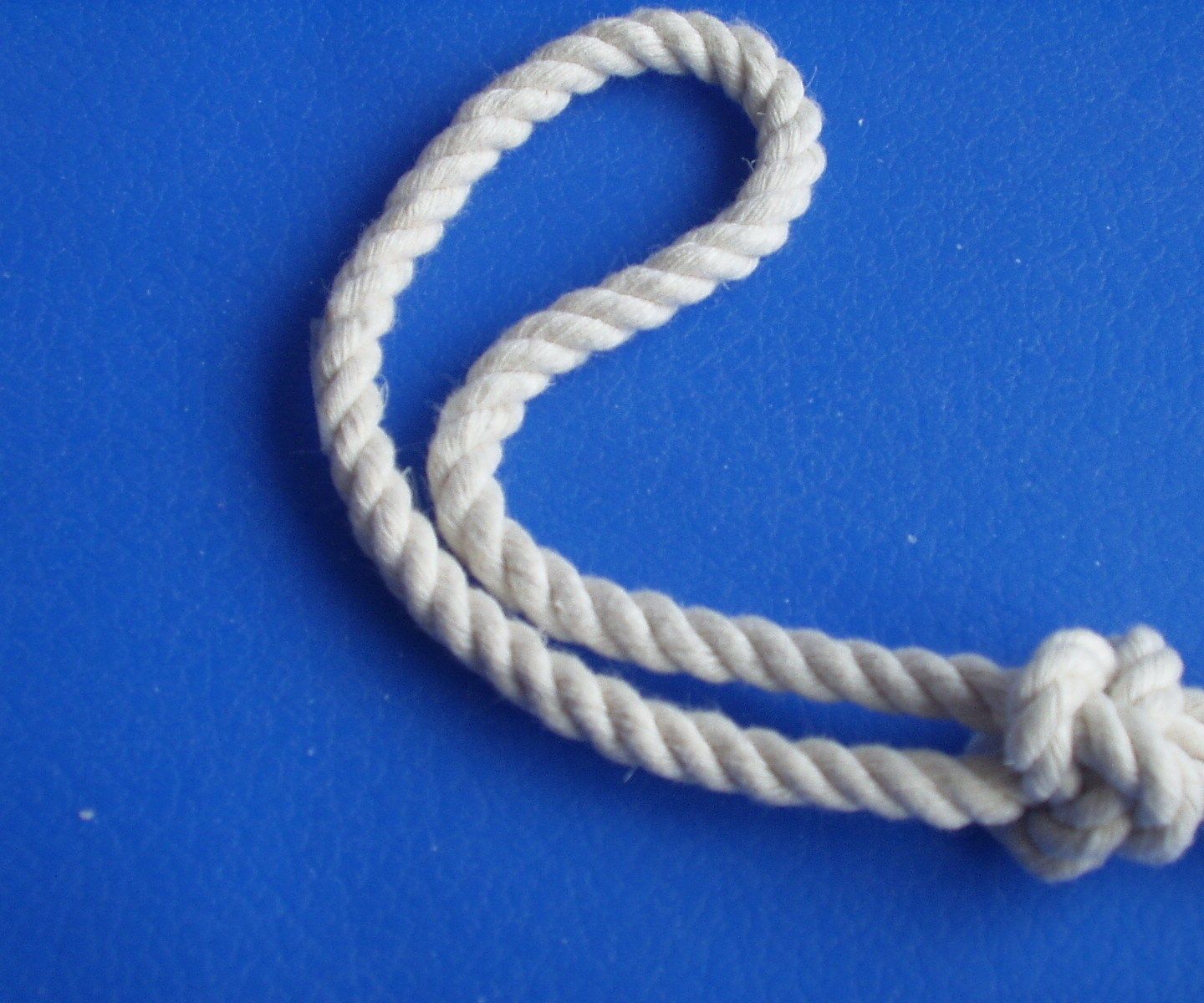 Ashley's Bend (aka ABOK 1452)