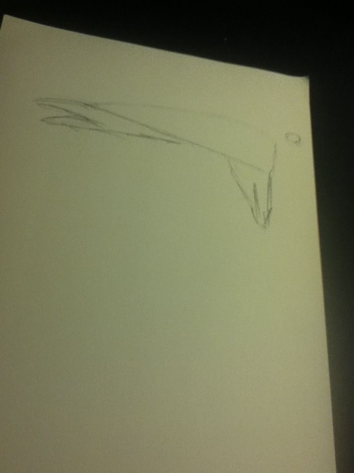 How to Draw Timmy Turner