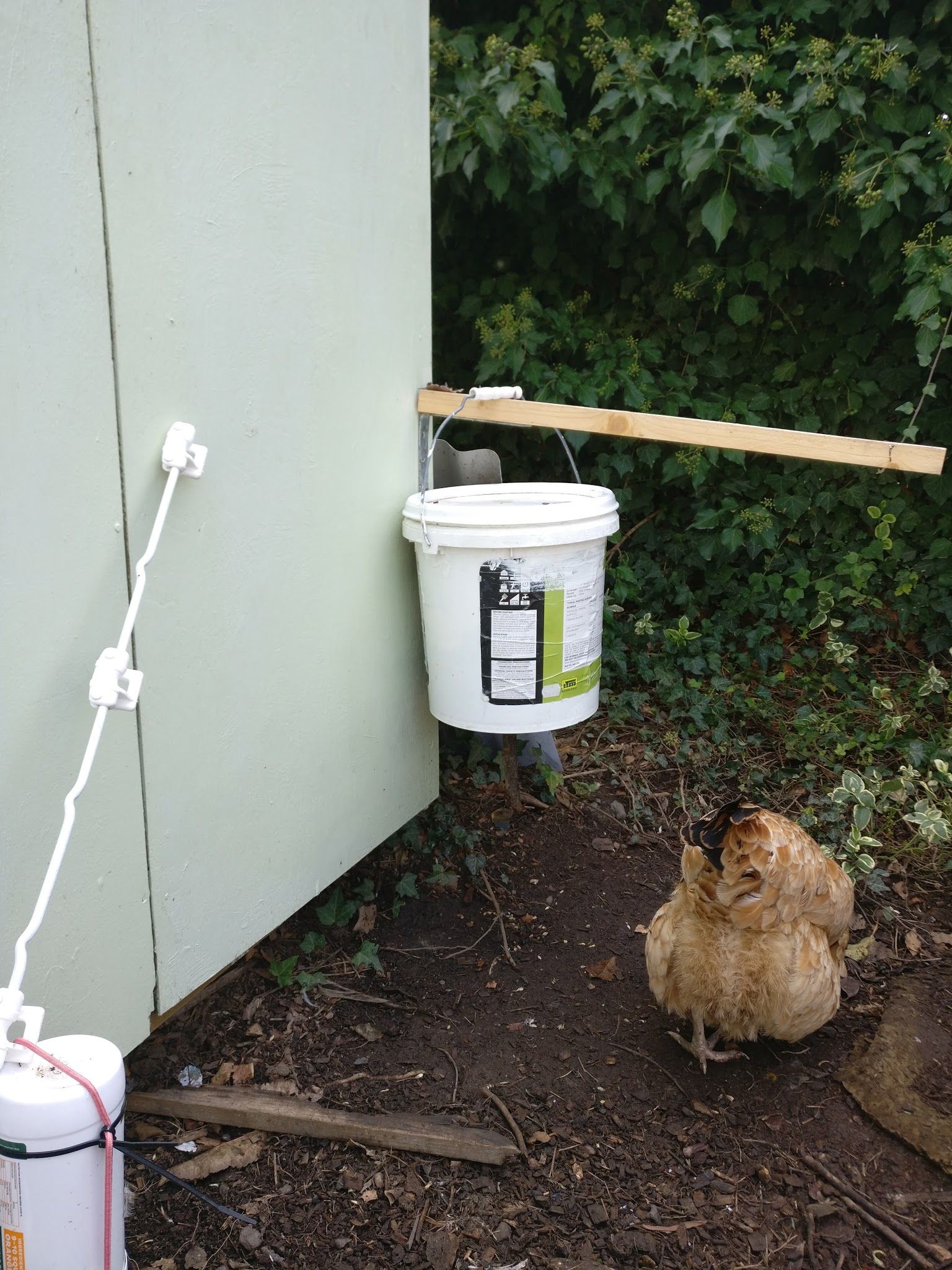 Rodent Proof Selfdispensing Chicken Feeder 6 Steps Instructables