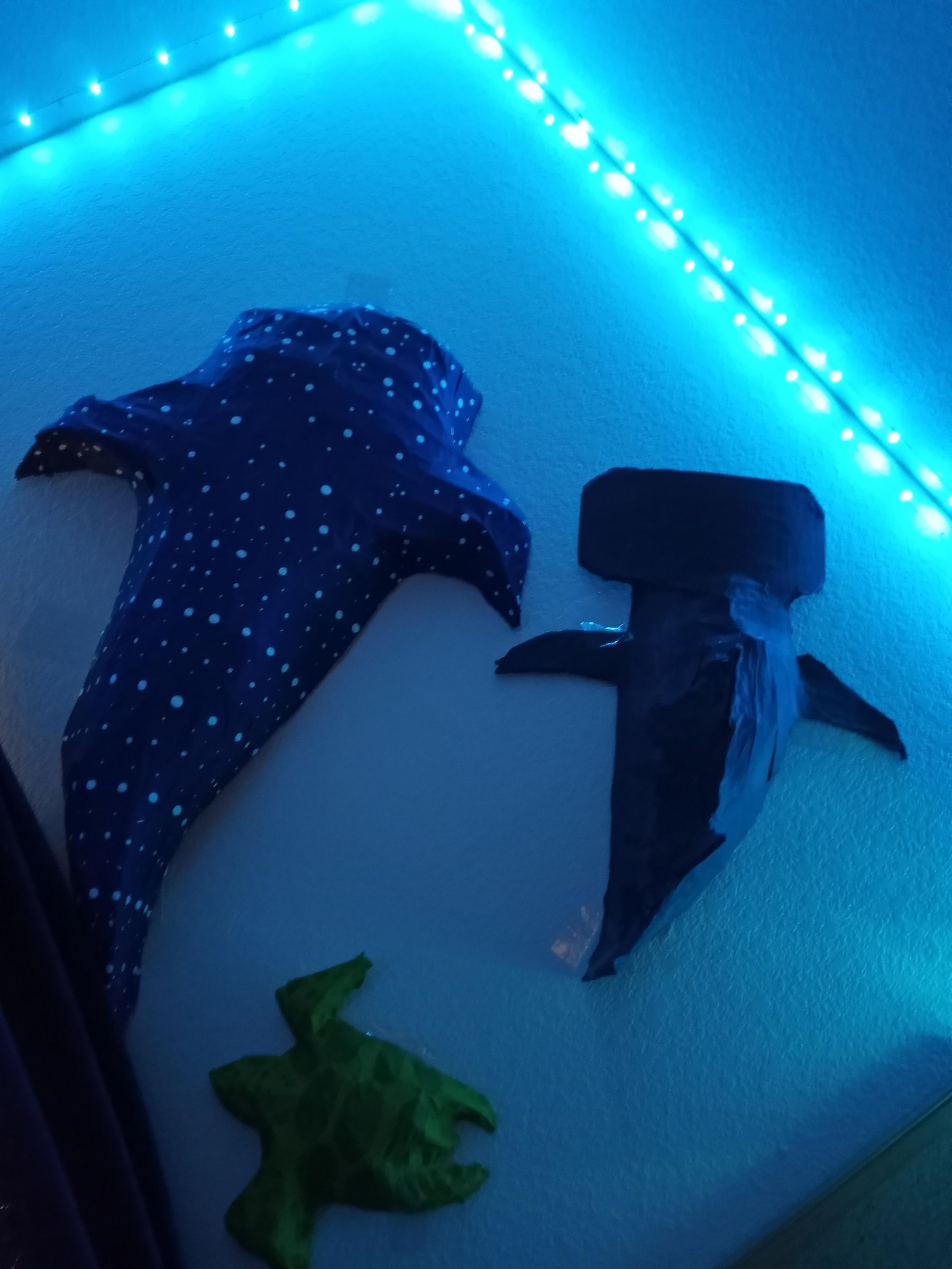 Large Whale Shark Made of Cardboard 6 Steps (with Pictures