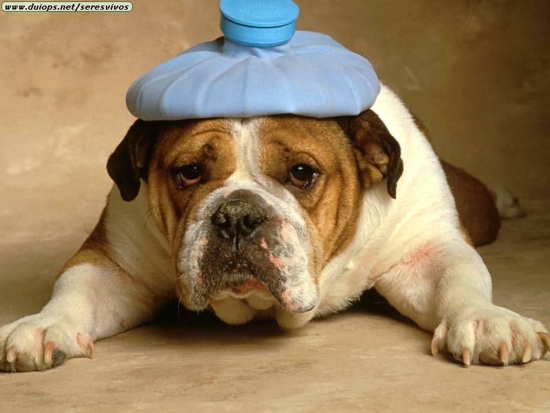 How to Cure a Headache