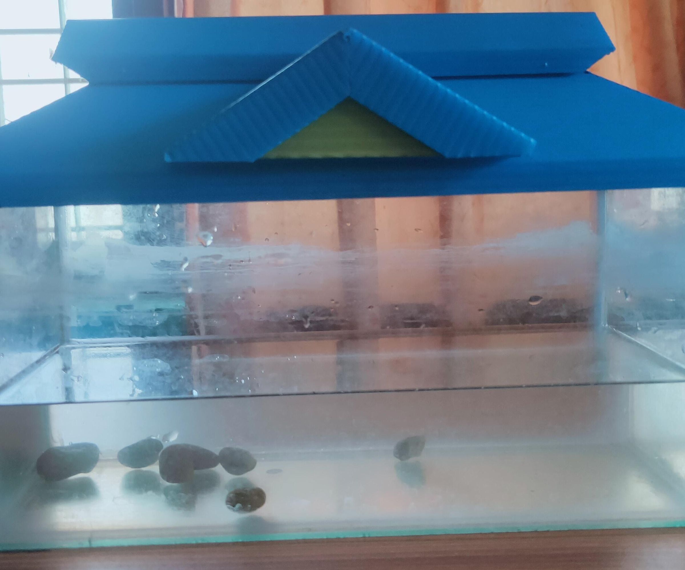 Home Made Aquarium With Glass