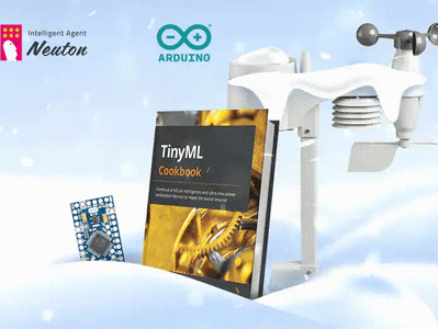 Case From the Newly Released TinyML Cookbook