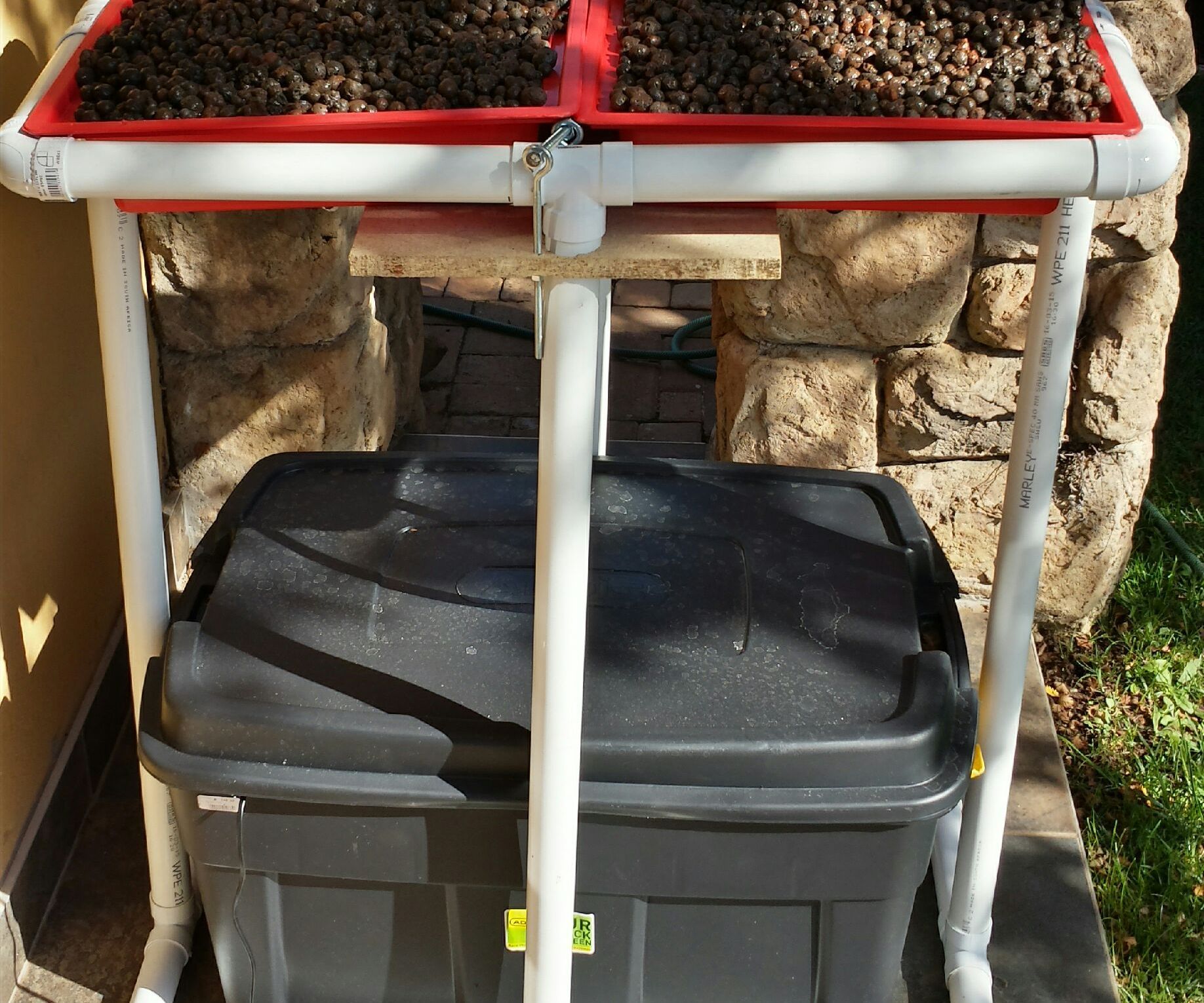 Backyard Ebb and Flow Hydroponics 