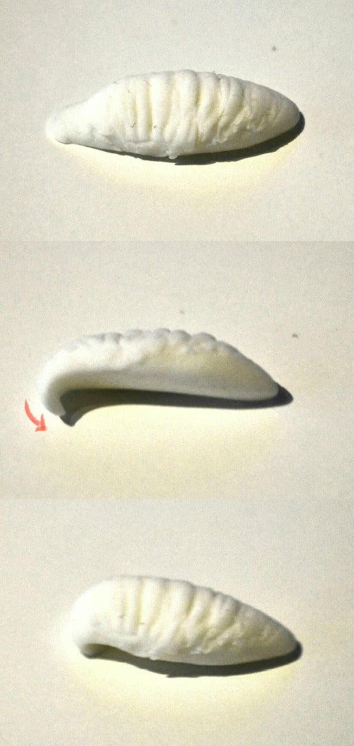 How to Sculpt Realistic Larvae and Maggots